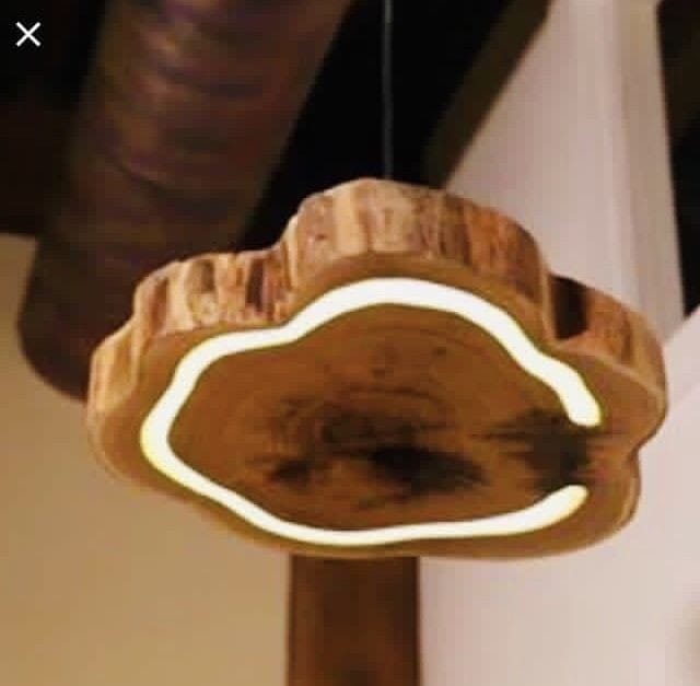 Natural Ceiling Light